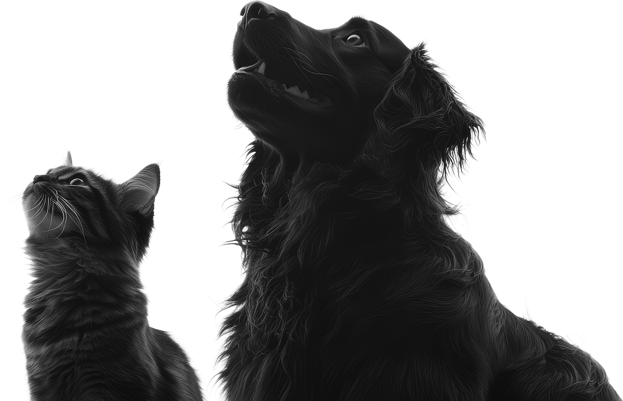 Ecorvet perro y gato transp vf g